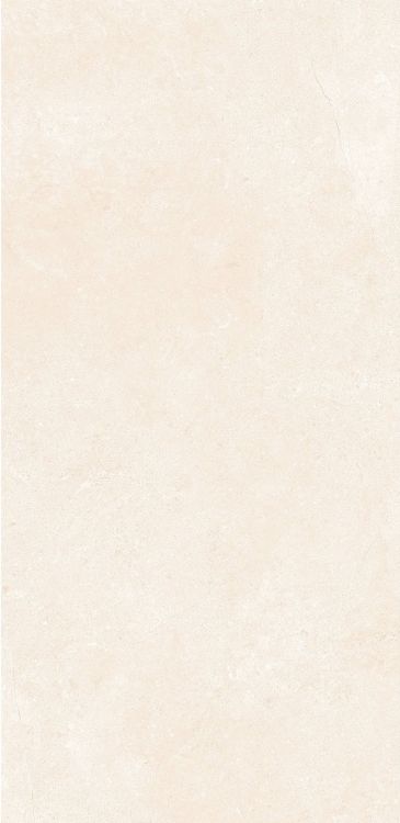 OL Marfil Matte 12 x 24